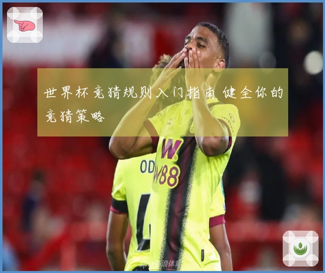 世界杯竞猜规则入门指南 健全你的竞猜策略