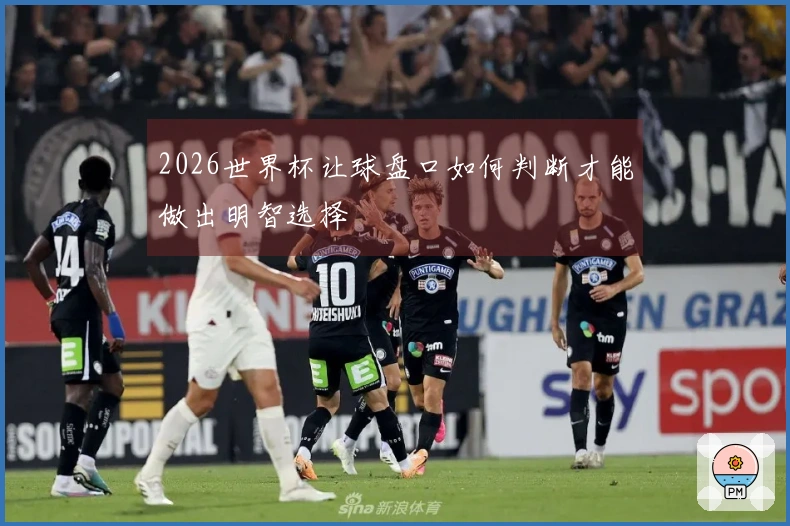 2026世界杯让球盘口如何判断才能做出明智选择