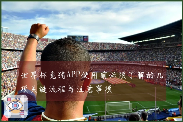 世界杯竞猜APP使用前必须了解的几项关键流程与注意事项