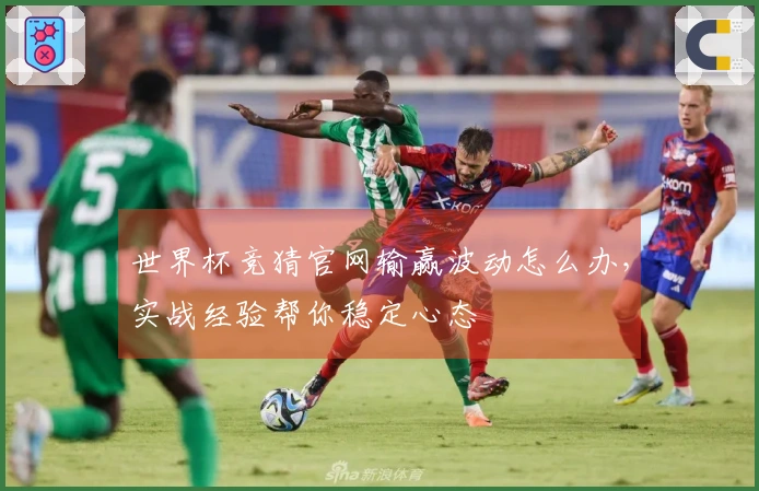 世界杯竞猜官网输赢波动怎么办，实战经验帮你稳定心态