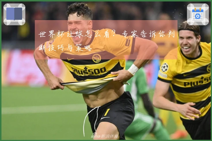 世界杯让球怎么看？专家告诉你判断技巧与策略