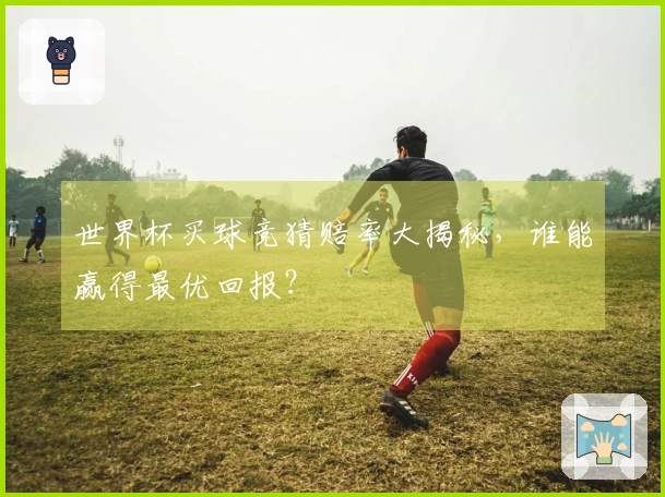 世界杯买球竞猜赔率大揭秘，谁能赢得最优回报？